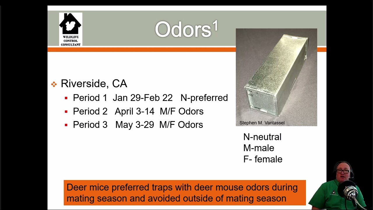 Unveiling Secrets of Rodent Control: Mastering Deer and House Mouse Management