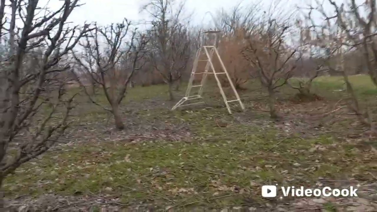 Обрезка сада.