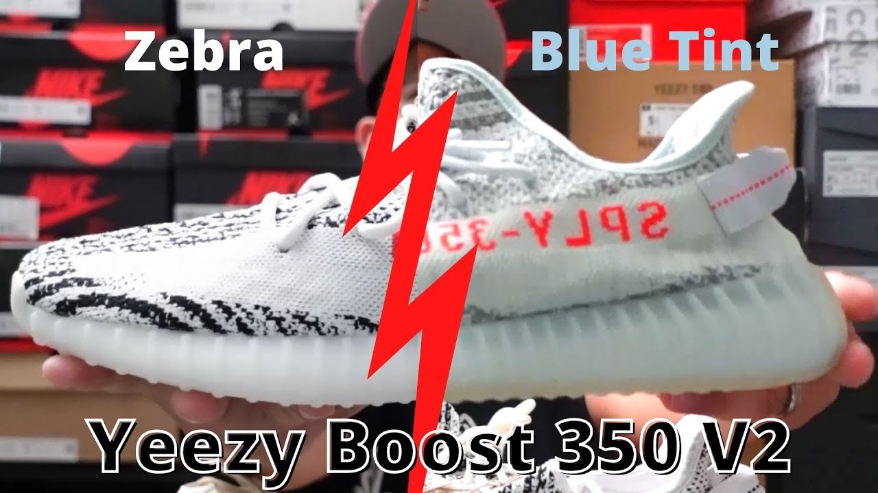Vlog # 363 -  HEAD to HEAD adidas Yeezy Boost 350 V2: Zebra VS  Blue Tint