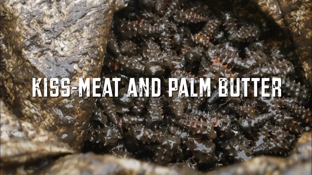 BUSH LIFE Kiss-Meat Snails and Palm Butter Soup