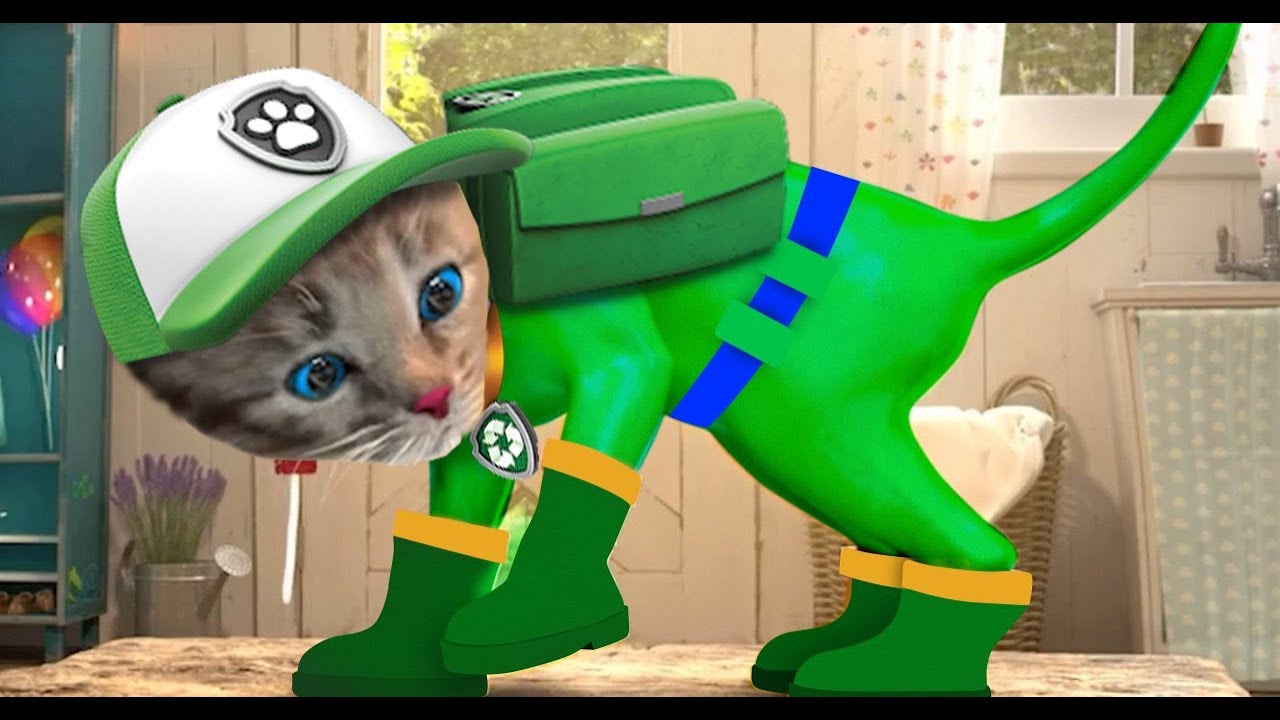 Little Kitten Preschool Adventure Educational Games ⭐ Play Fun Cute Kitten Pet Care Gameplay #1211