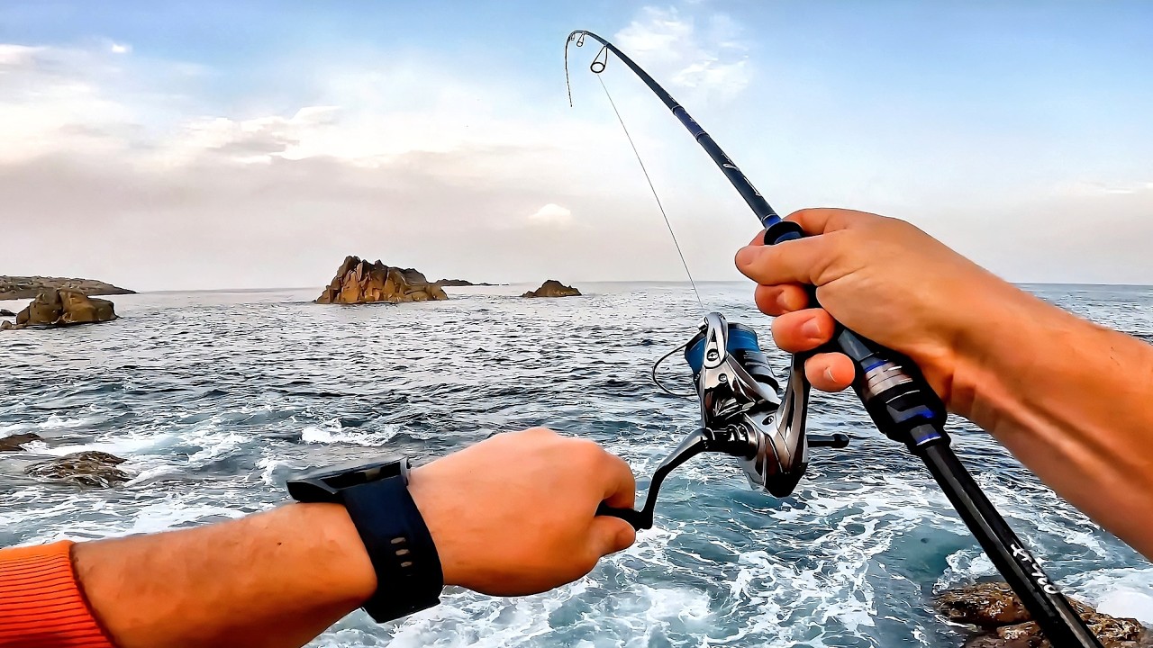 [LÁTI-GO Allegro] GIANT SARGO Fish in Portugal - Spinning