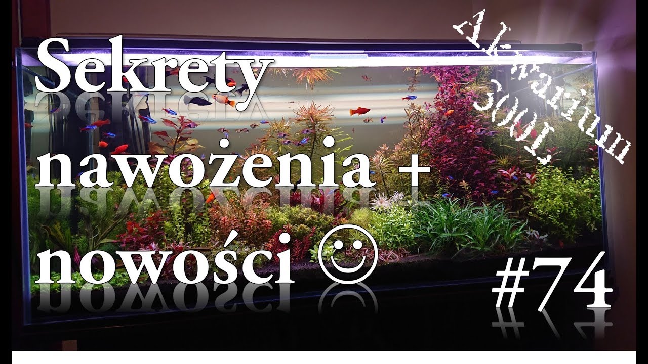 Akwarystyka - 074. Sekrety nawożenia oraz nowe nabytki :D