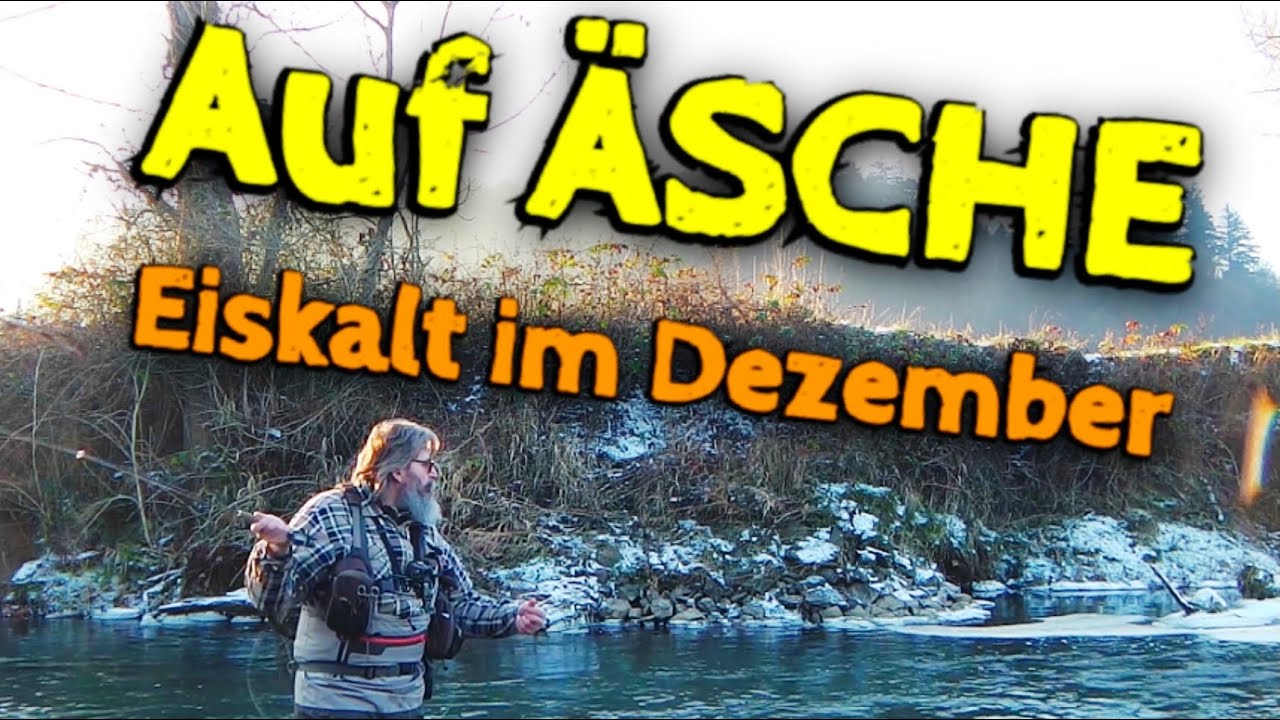 Eiskalte Äschenpirsch im Dezember | Fliegenfischen am kleinen Fluß