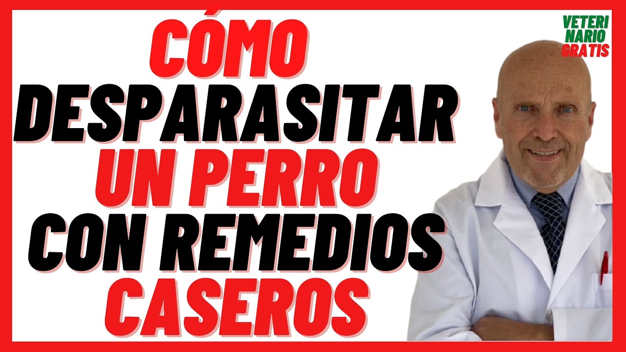 🟢 Como desparasitar un Perro con Lombrices 🟢 Naturalmente con Ajo y otros Remedios Caseros
