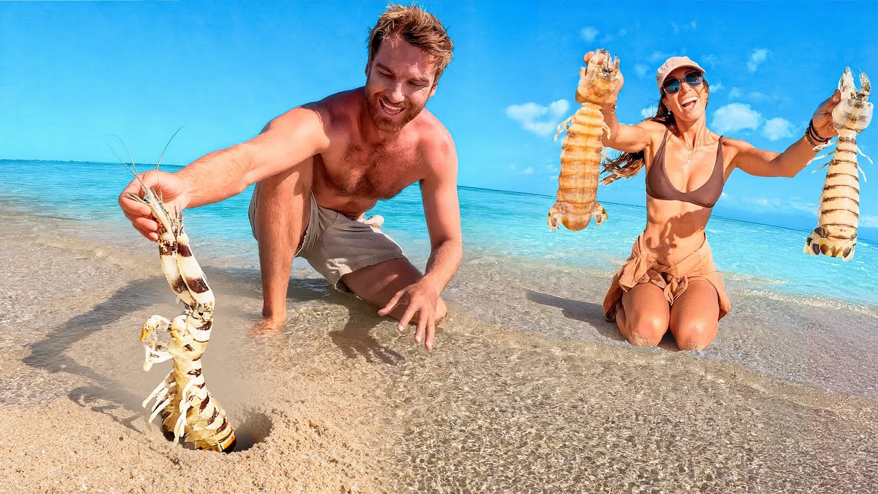 GIANT MANTIS SHRIMP Catch & Cook