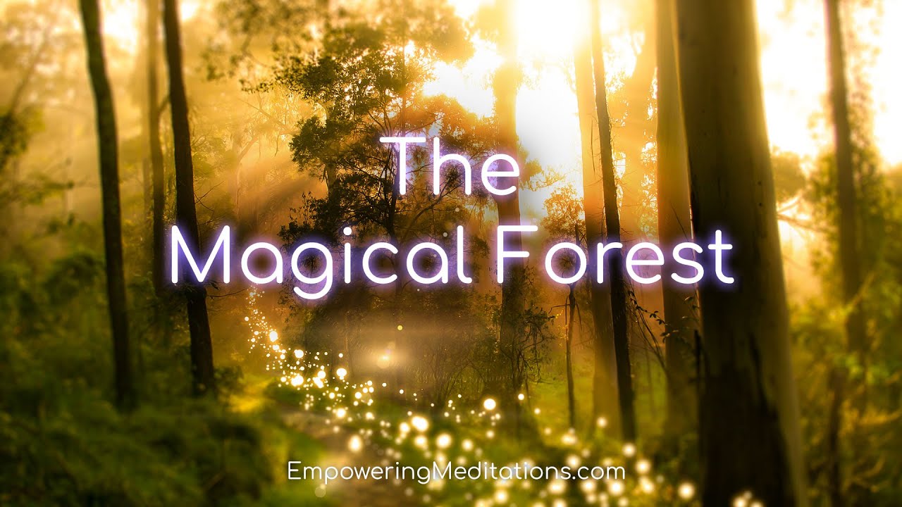 The Magical Forest - Guided Meditation Visualization For Deep Relaxation & De-Stressing