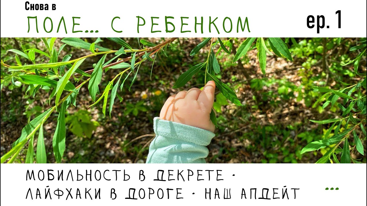 Полевые работы и путешествия с грудничком: мобильность в декрете, лайфхаки в дороге и наш апдейт