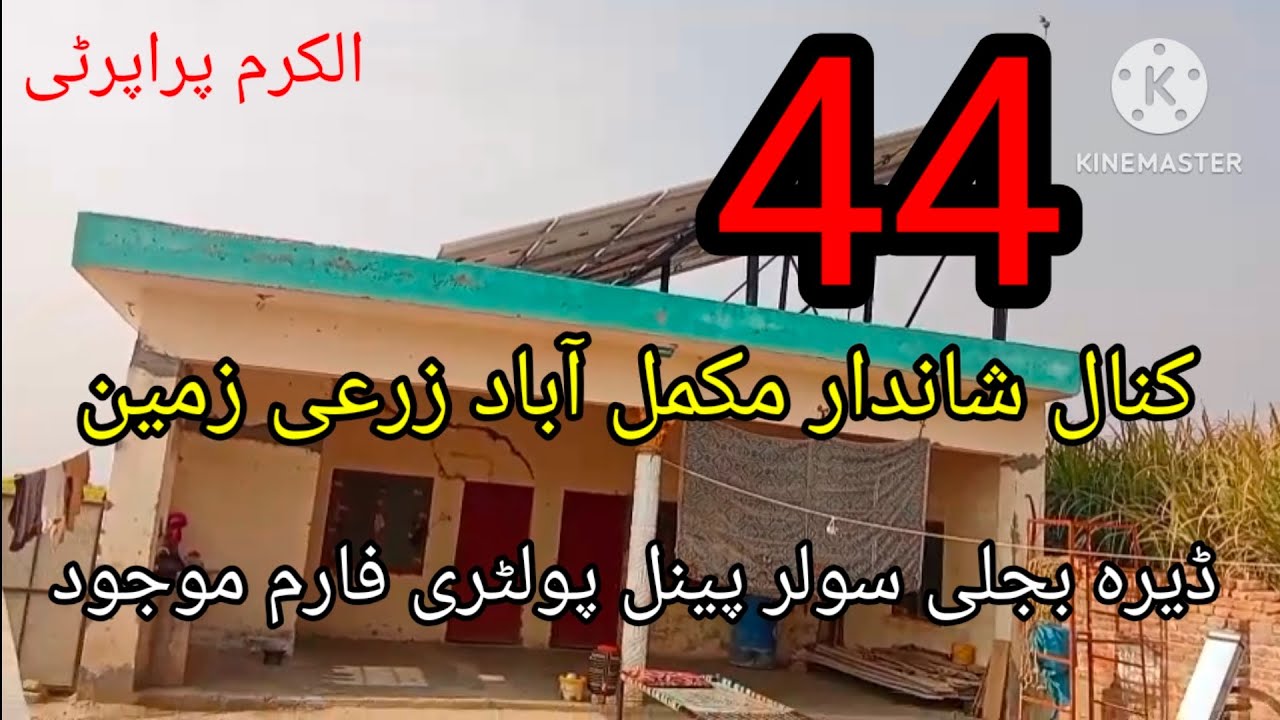 44 کنال پے شاندار فارم ہاؤس پولٹری فارم دیتی فارم آباد زرعی زمین الکرم پراپرٹی چکوال 