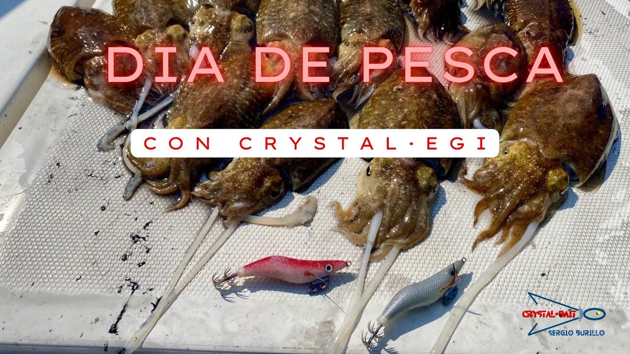 🐙 Pesca de sepias con jibionera crystal&middot;egi