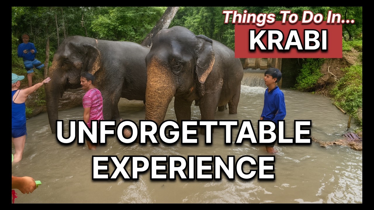 Krabi's Elephant Sanctuary.  The Best Ethical Experience.
