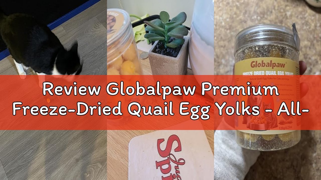 Review Globalpaw Premium Freeze-Dried Quail Egg Yolks - All-Natural Snack for Cats and Dogs, 100% Pu