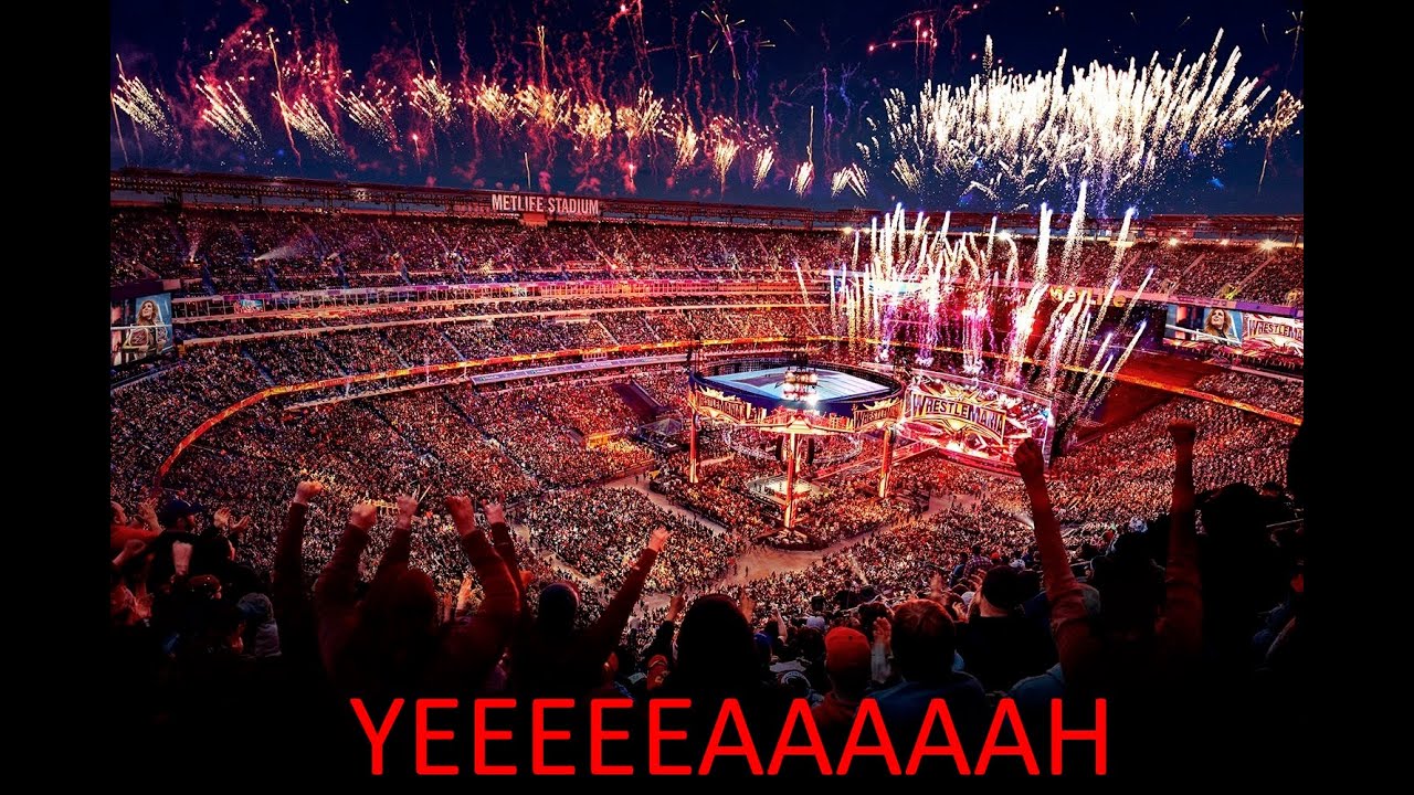 [TUTORIAL] How to add custom crowd sound effect to any wrestler in the game WWE 2K24