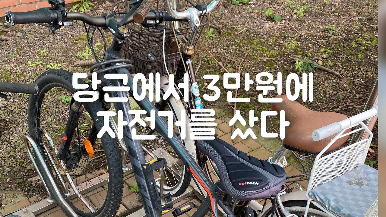 당근마켓, 중고자전거 구입, 빙구 아니고 호구
