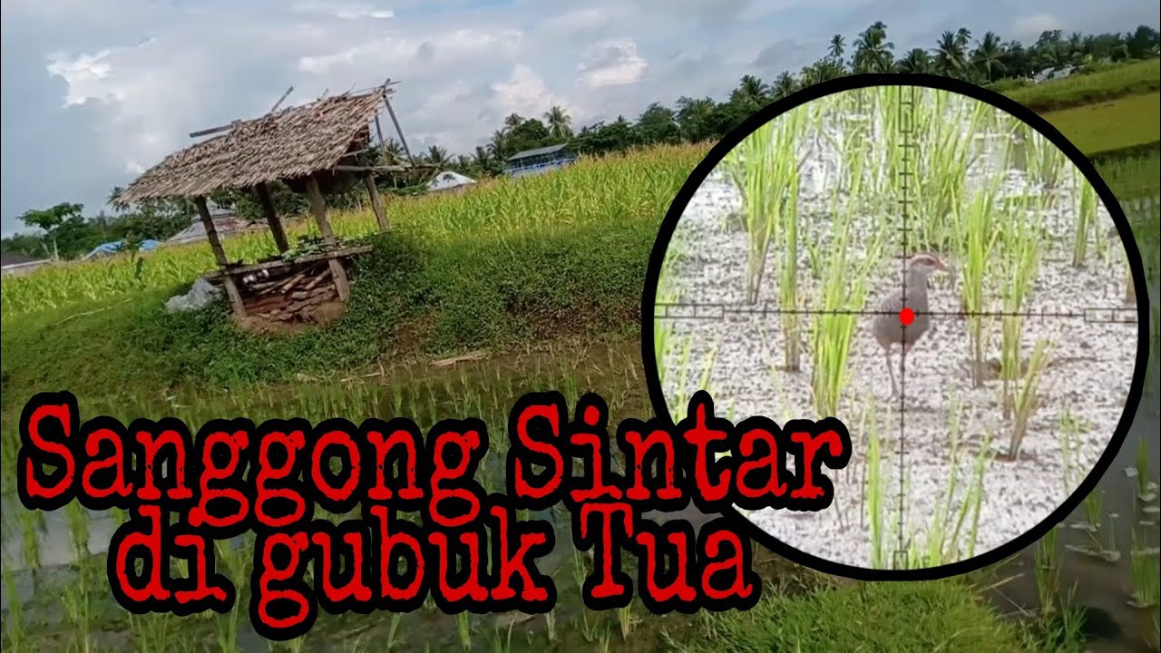 Berburu sintar di gubuk tua