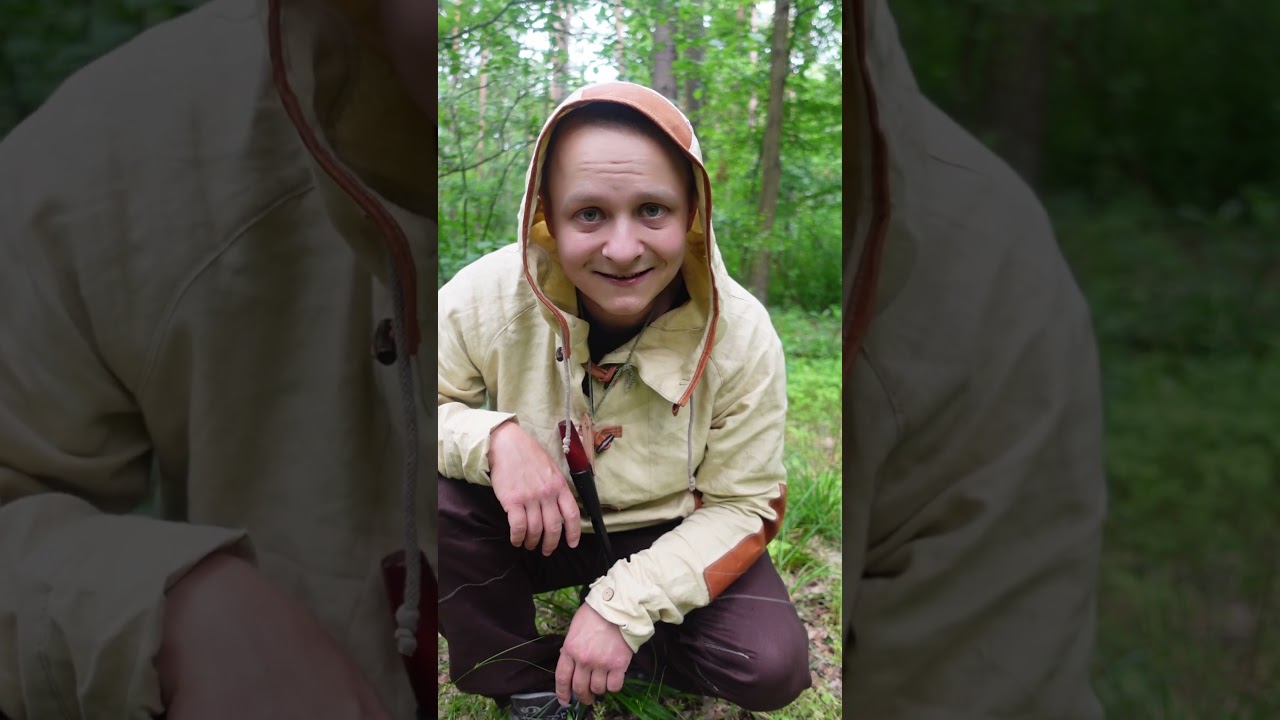 Muchomor czerwony OFICJALNIE ZAKAZANY! Grozi 20 lat WIĘZIENIA. Ale...