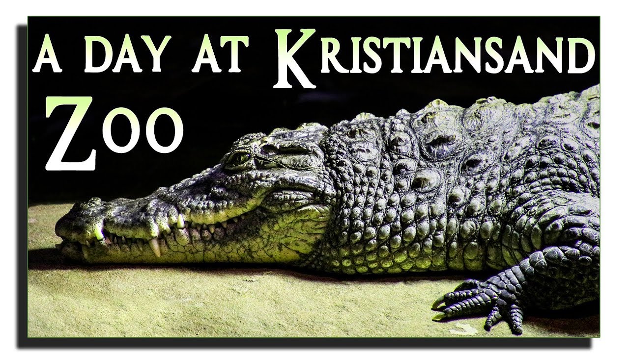 Kristiansand Dyrepark Norway, Lizards, Monkeys, Orangutan, Pirates, Zoo and Amusement Park