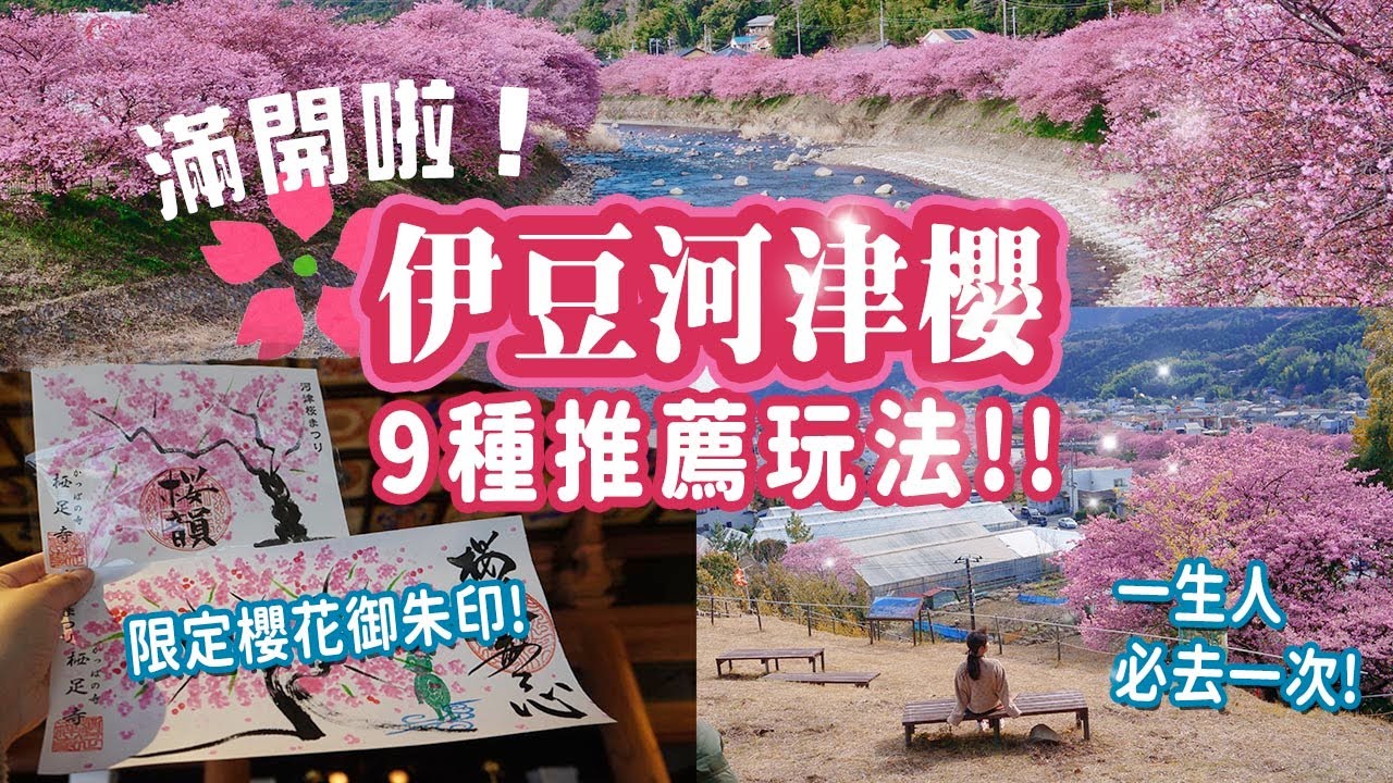 [突發] 滿開河津櫻2023🌸一生人必去一次的櫻花聖地: 9個唯美景點及玩法｜隱藏的絕美展望台｜限定櫻花御朱印 #河津櫻 #櫻花 #日本旅行