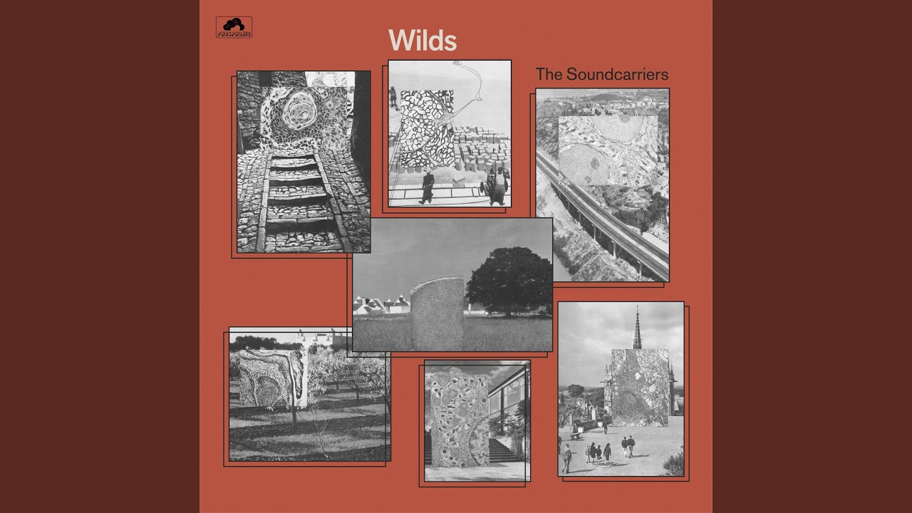 Wilds