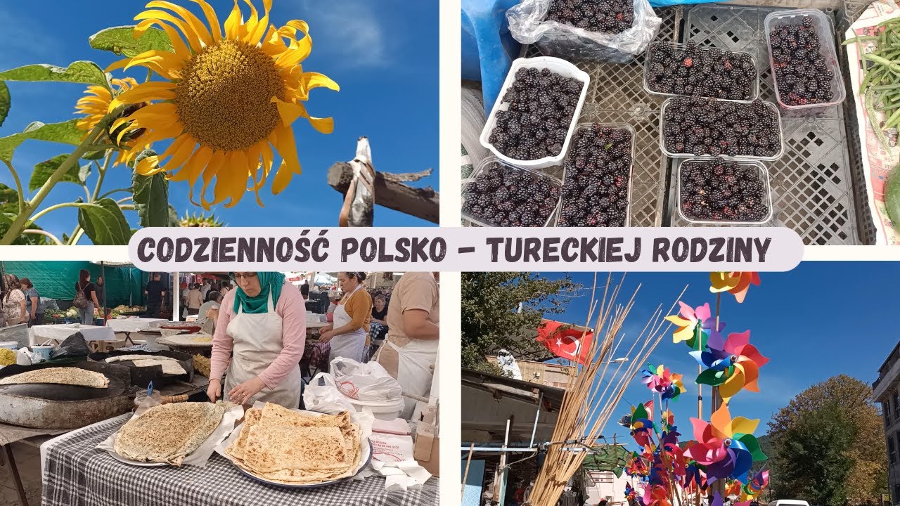 Nasza codzienność: Jedziemy 130 km na wieś po jeżyny i jabłka! Jemy gulasz z koziego mięsa!