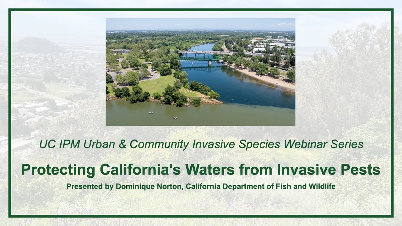 Protecting California's Waters from Invasive Pests