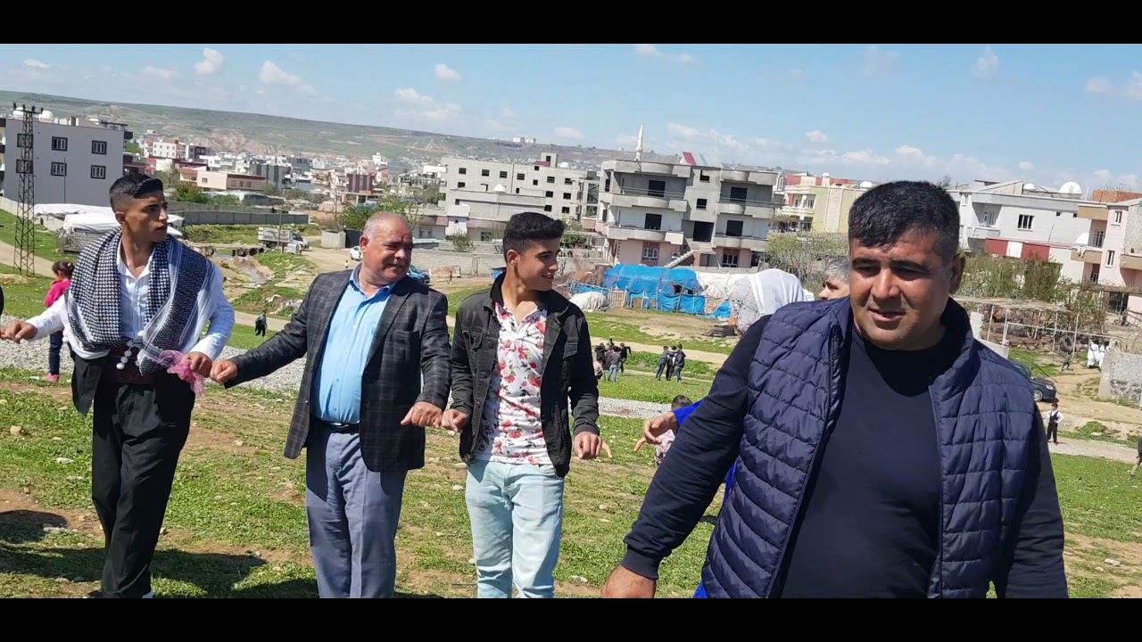 cizre tayan aşireti düğünü