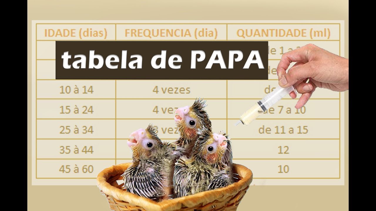 Tabela de horários e quantidade de papa !