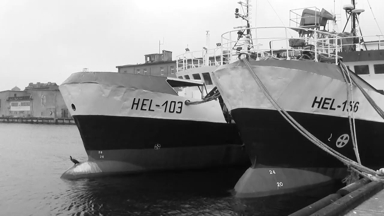 Poland - Hel Peninsula - Black & White Video 2025