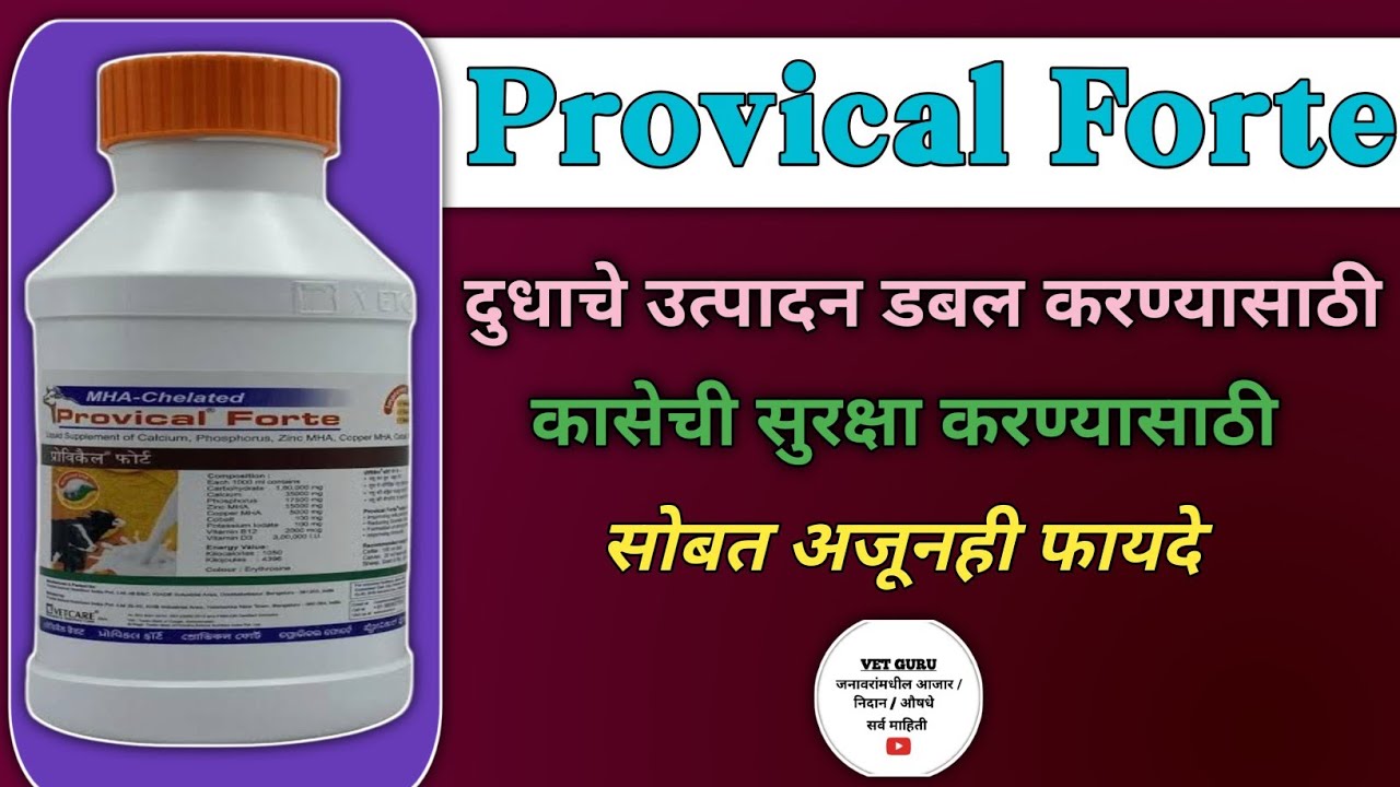 Provical Forte||लिक्वीड कॅल्शिअम दूध वाढीसाठी सोबत पशूंना ताकत देण्यासाठी||आणखीही खूप सारे फायदे