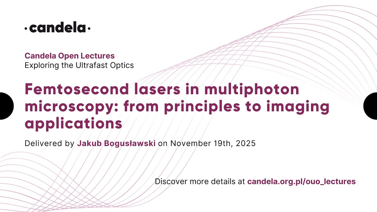 Jakub Bogusławski "Femtosecond lasers in multiphoton microscopy: from principles to imaging (...)"