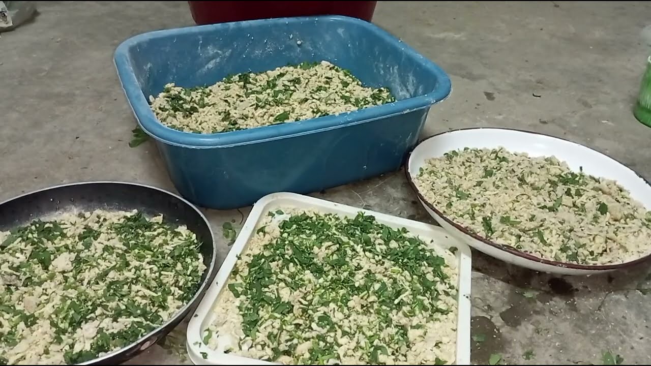 فى عز الغلاء دا خليكي شاطرة وتعالى نعمل اكل لكل الطيور ب٢جنية بط فراخ حمام كبير صفير كله هياكل ب٢جني