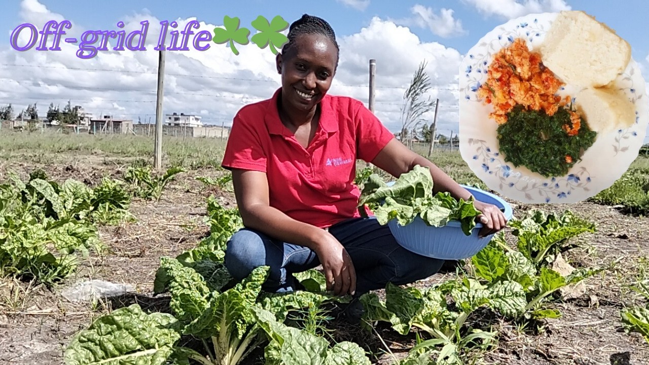 COOKING THE MOST HIGHLY RATED FOOD IN KENYA😋.  Countryside Africa