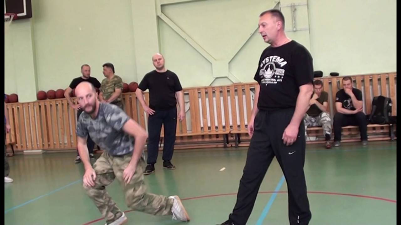 System Russian Martial Art . Punches and wrestling . А .  Solovyev . Saint - Petersburg, May 2016