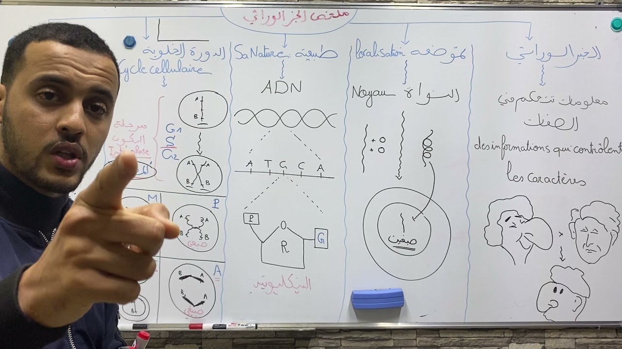 هااااااام : ملخص رائع للخبر الوراثي 🧬