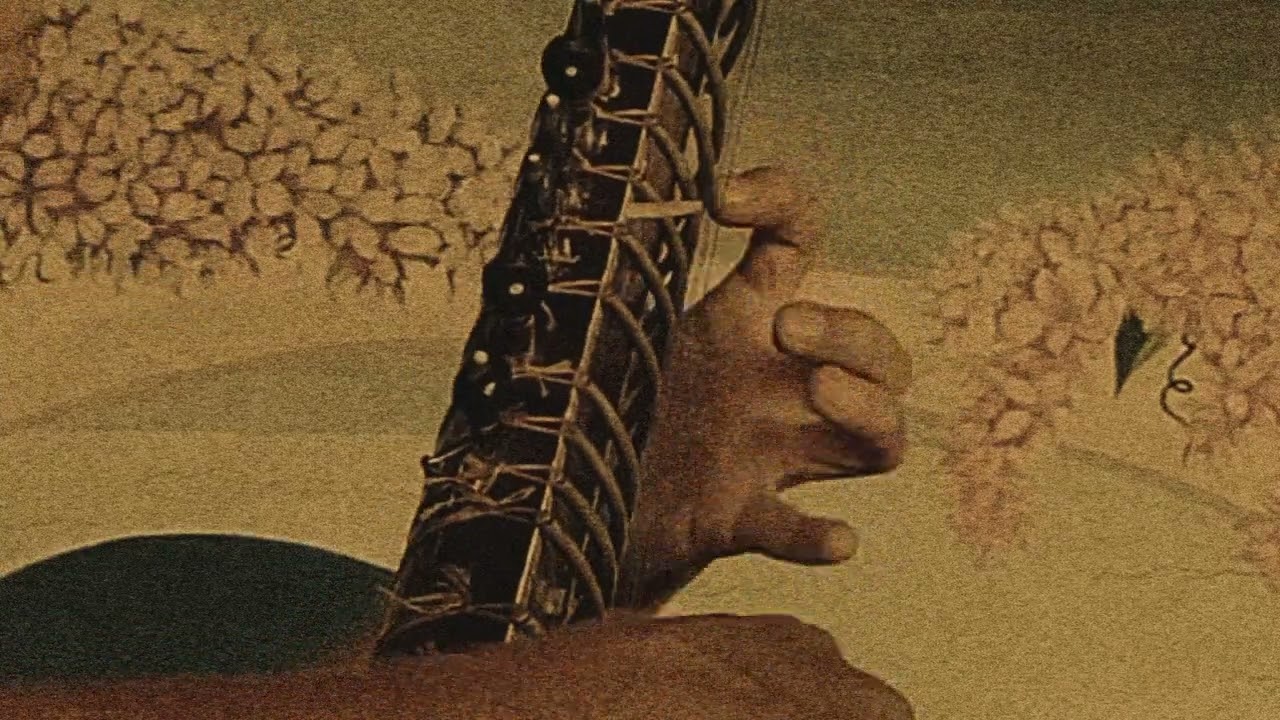 Real trance Sitar🙌❤️🙏Camera sound 🌅#sitar #урокиигрынаситаре #abron #sitarfusion #love #indianmusic