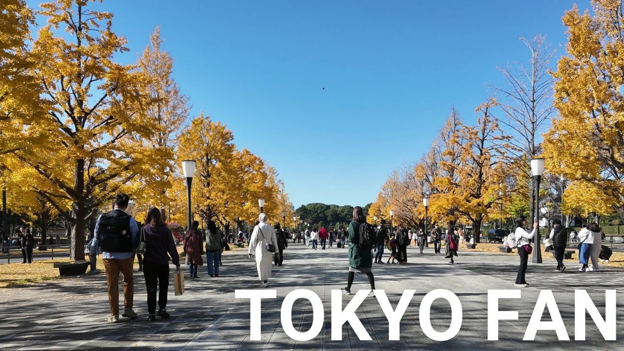 皇居散歩 |【4K】 Walking Imperial Palace Tokyo Japan (Nov. 2025)