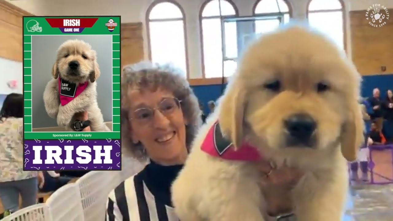 The 2025 4 Paws for Ability Service Dog Scrimmage