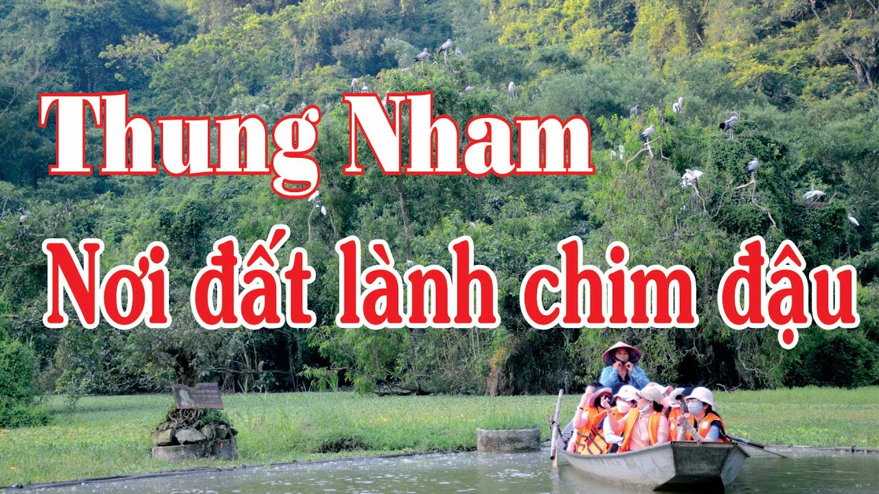 Kh&aacute;m ph&aacute; Vườn Chim Thung Nham - Vườn Chim tự nhi&ecirc;n lớn nhất miền Bắc Việt Nam
