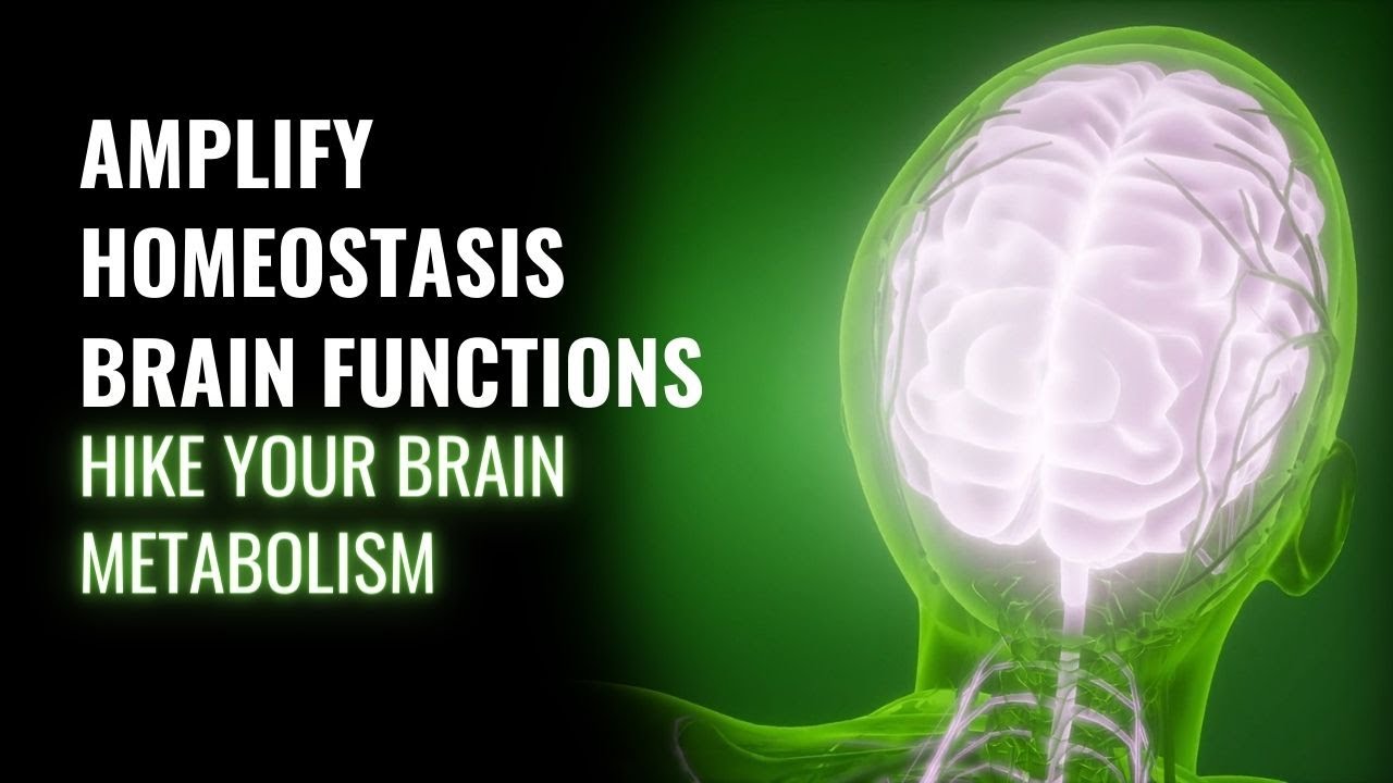 Homeostatic Regulation- Amplify Homeostasis Brain Functions- Hypothalamus-Rise Your Brain Metabolism