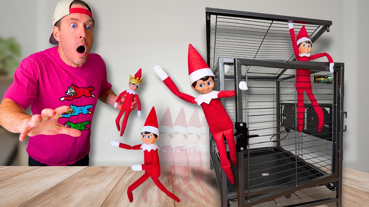 My Elves On A Shelf ESCAPED And DESTROYED My House!