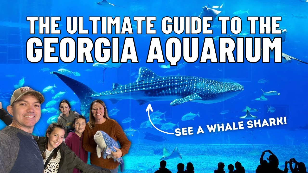 The Ultimate Guide To The Georgia Aquarium In Atlanta