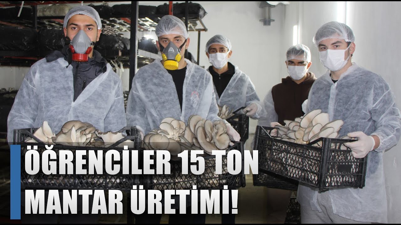 Öğrencilerden 15 Ton Mantar Üretimi! 1 Milyon TL Gelir / AGRO TV HABER