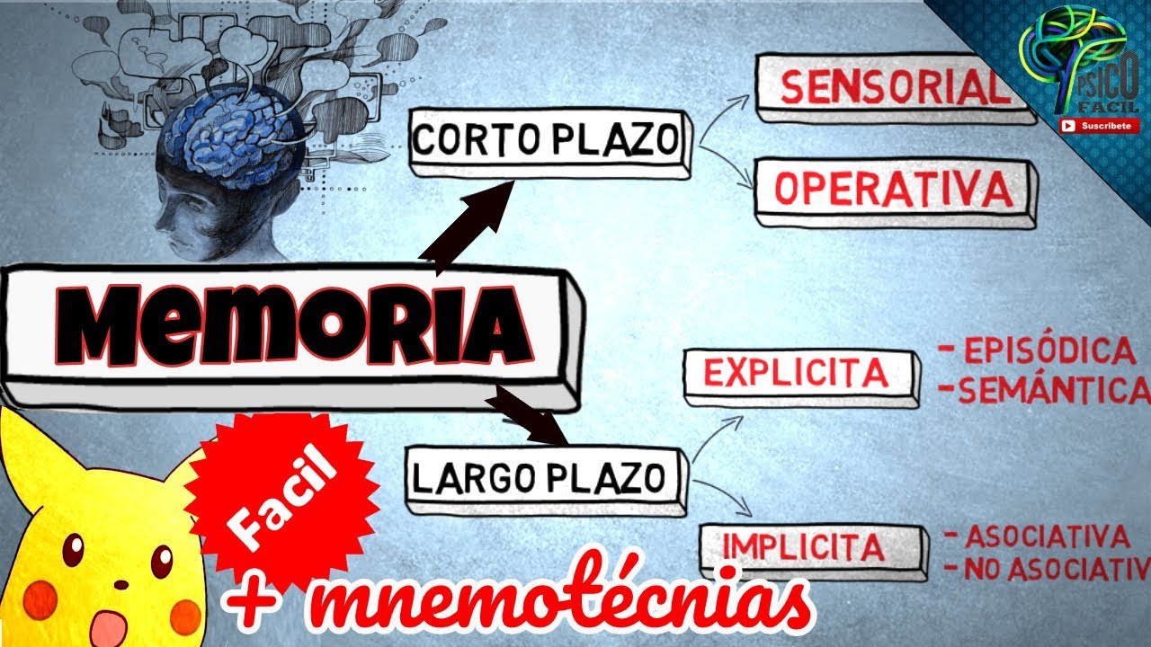 MEMORIA A CORTO PLAZO Y SUS TIPOS | FACIL CON EJEMPLOS