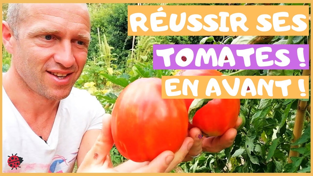 Réussir ses tomates ! GO GO GO !