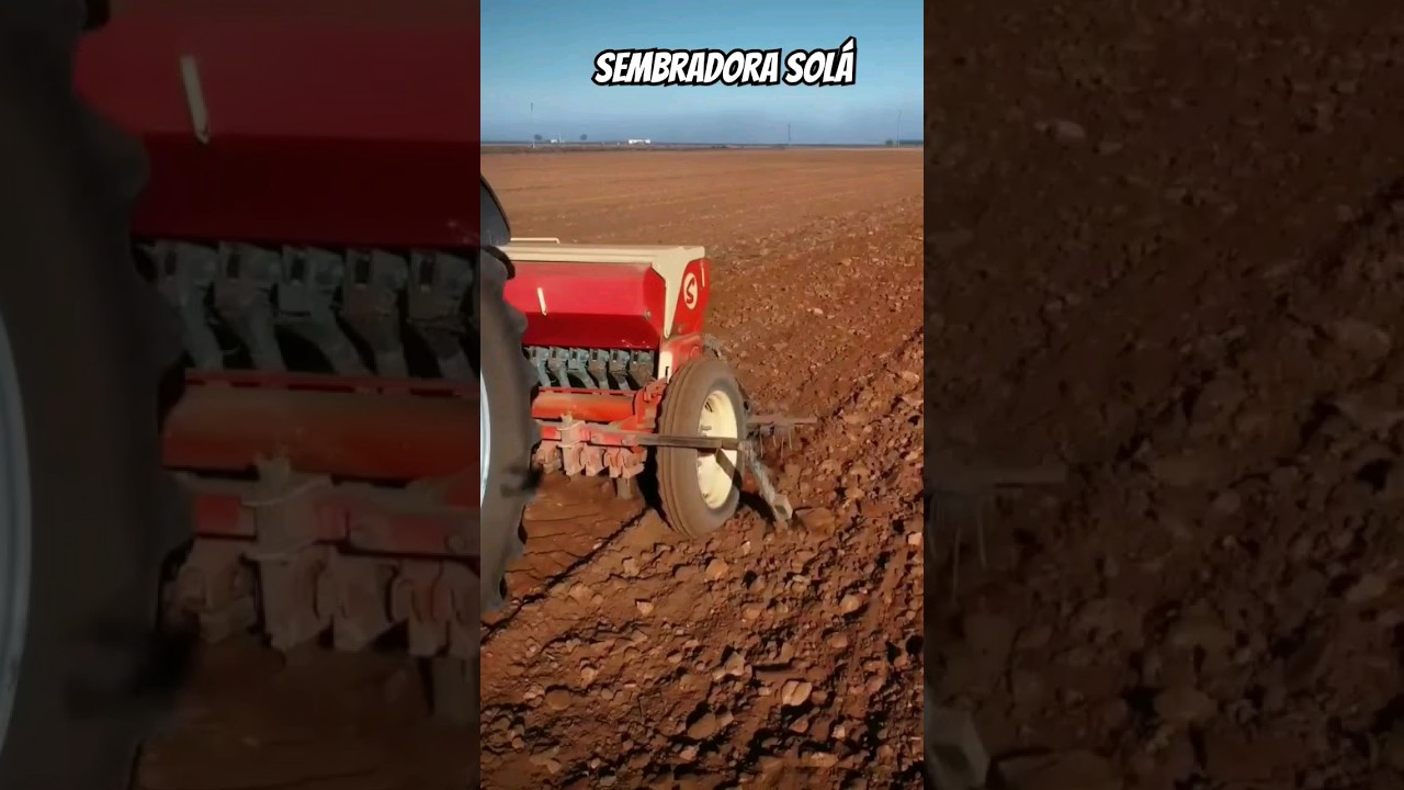 Sembradora sol&aacute; de chorrillo 🌾 150-175 Kg/Ha #agricultura #campo #siembra #shorts