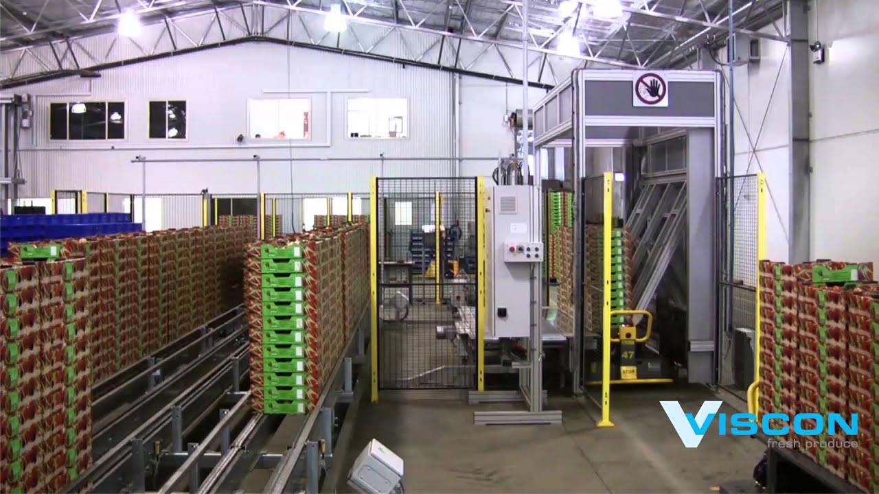 Viscon Fresh Produce - Tomatoes on the Vine automation
