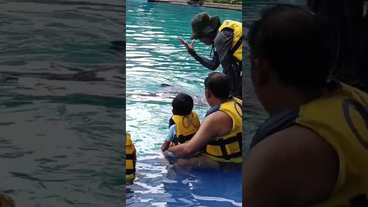 berenang dikolam lumba2 