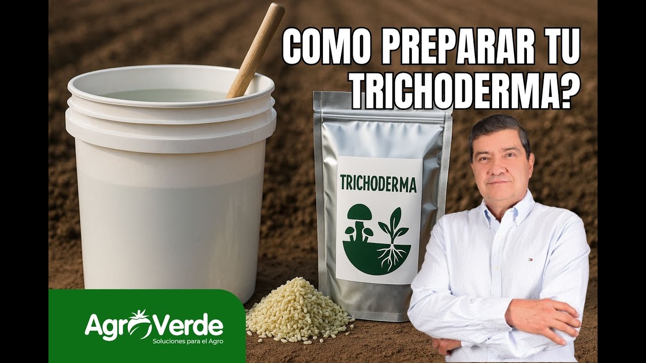 🧪 ¿Está aplicando bien su Trichoderma? ¡Evite errores comunes!