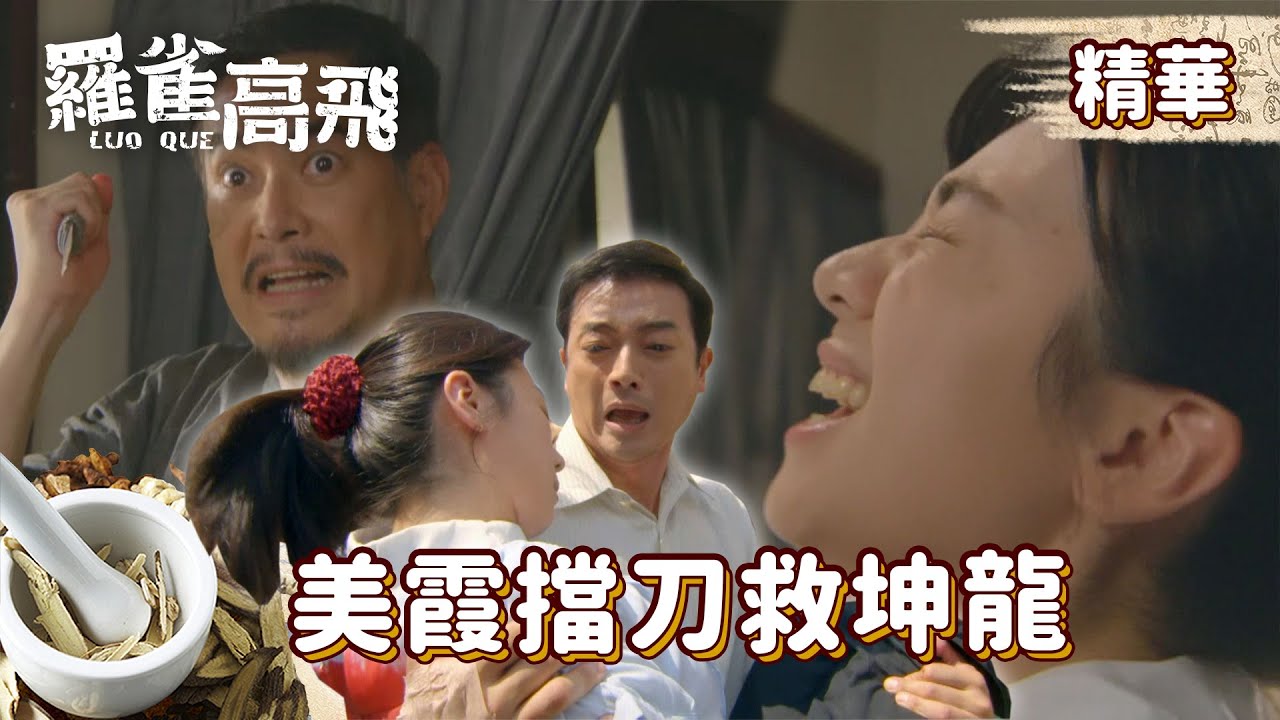 【羅雀高飛】#EP17精華 陳正義欲殺坤龍！美霞冒死擋住致命一刀，滿身是血生死未卜！？