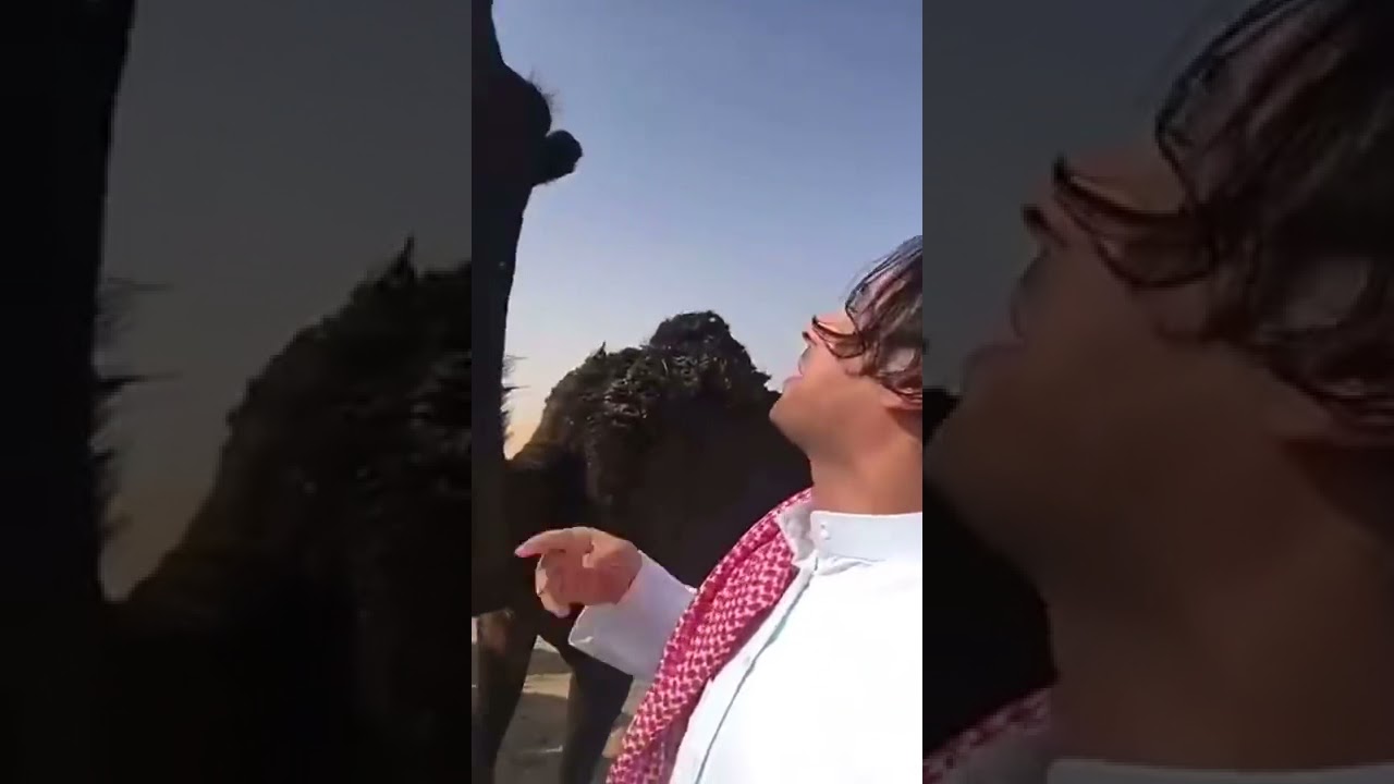 عزوز بن زايد يطقطق على حقين المراجل فالتواصل الاجتماعي😅😅😅😅😅